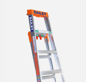 Dual Purpose Ladders