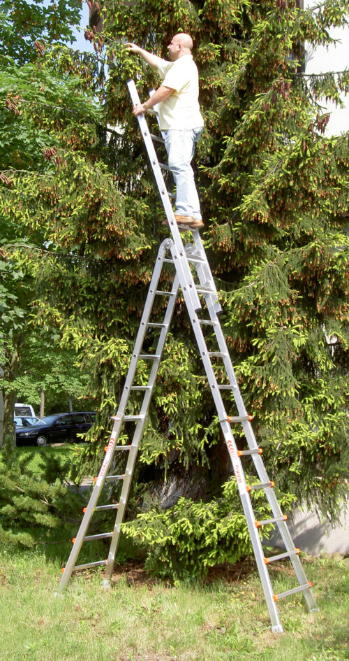 Waku Telescopic ladder with TL22 extension used for pruning trees